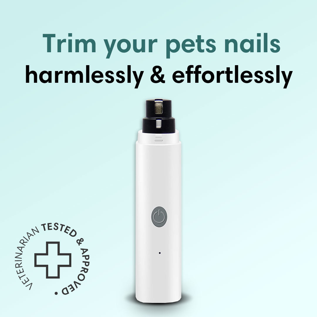 Pet Nail Trimmer