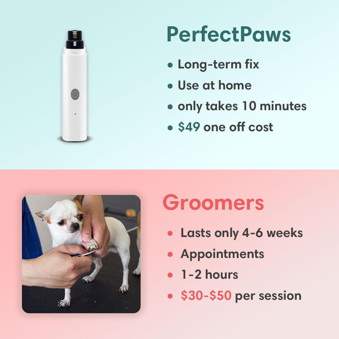 Pet Nail Trimmer