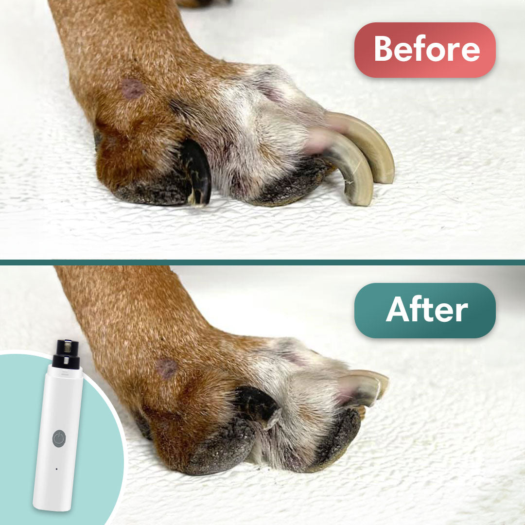 Pet Nail Trimmer