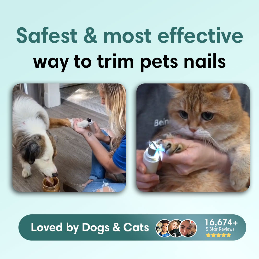 Pet Nail Trimmer